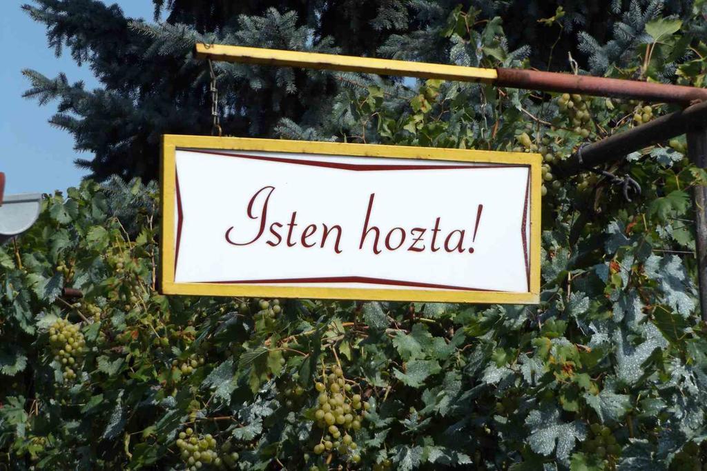 Opusztaszeri Mozes Vendeghaz Hotel Exterior photo
